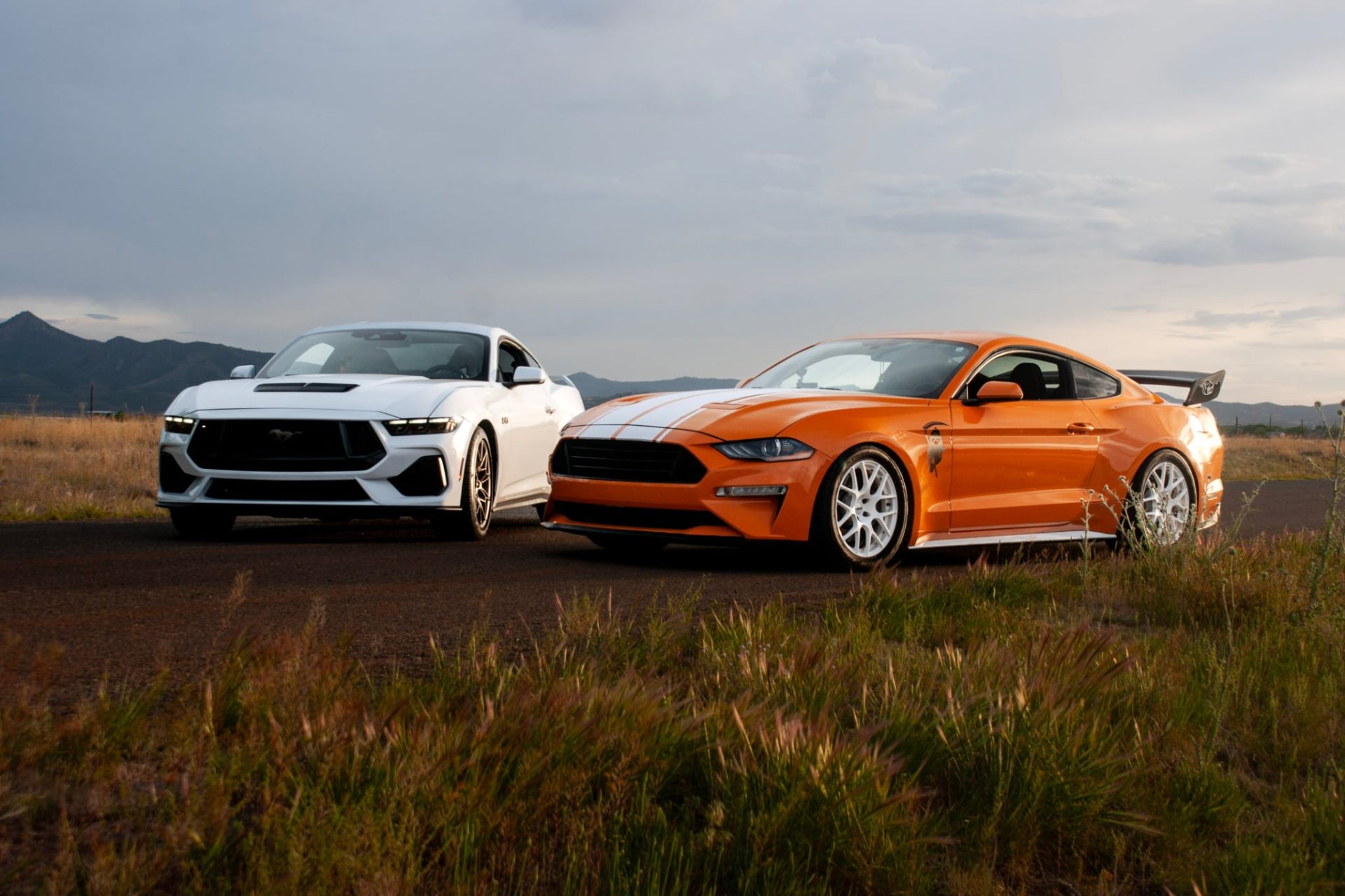 Mustang Duo — Group Shoots automotive photography by Tri City Media